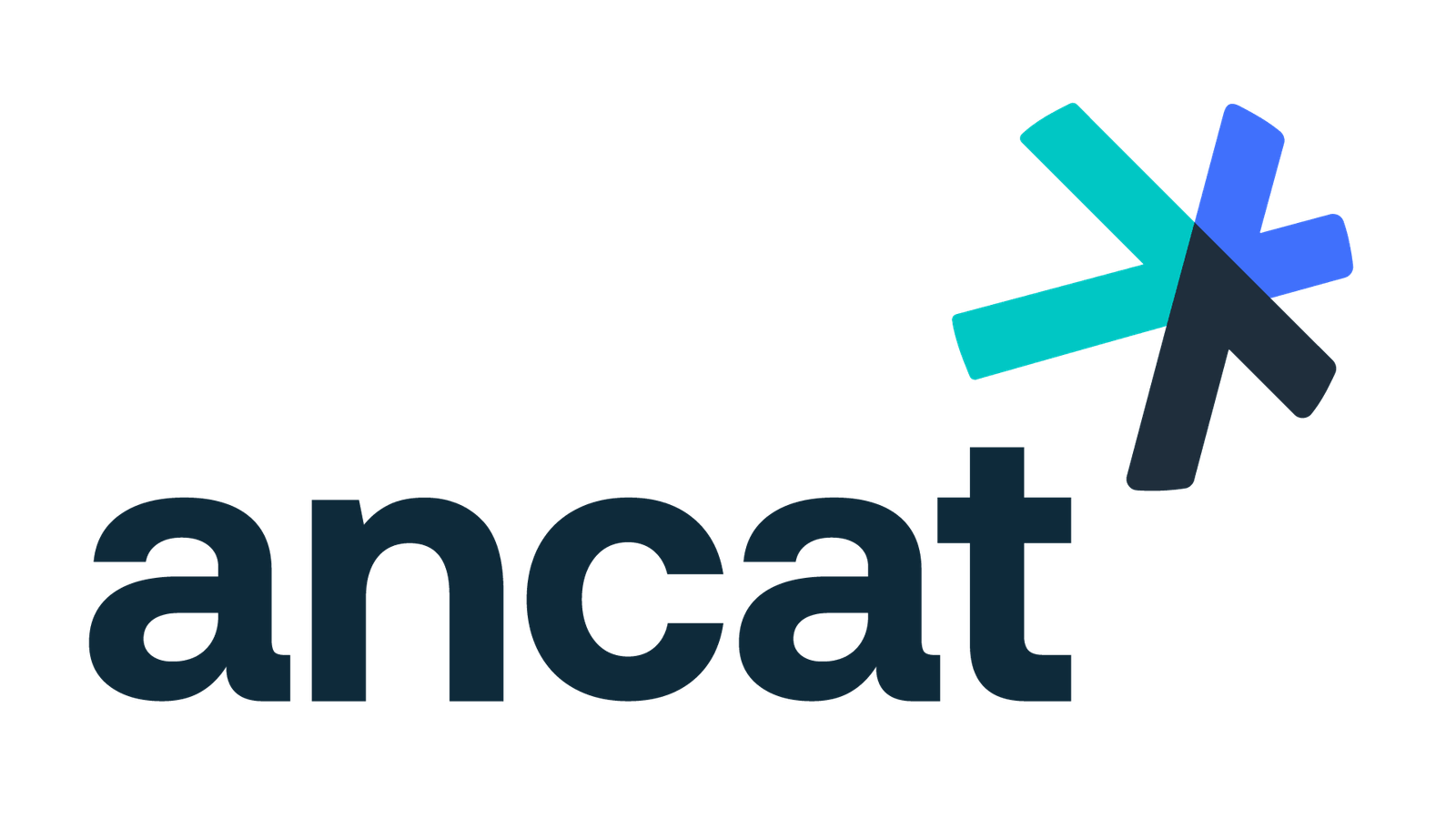 Logo-ANCAT-horizontal